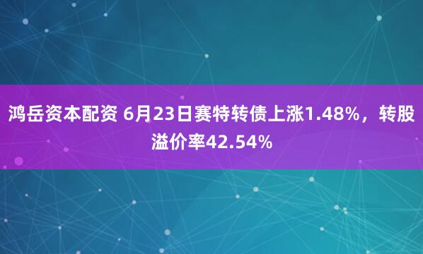 鸿岳资本配资 6月23日赛特转债上涨1.48%，转股溢价率42.54%