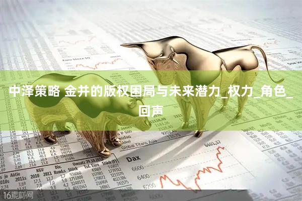 中泽策略 金并的版权困局与未来潜力_权力_角色_回声