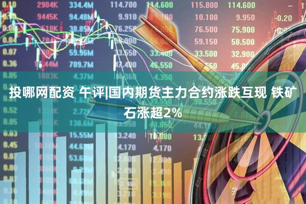 投哪网配资 午评|国内期货主力合约涨跌互现 铁矿石涨超2%