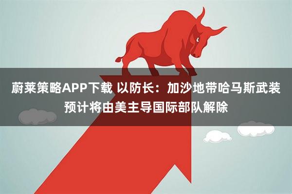蔚莱策略APP下载 以防长：加沙地带哈马斯武装预计将由美主导国际部队解除