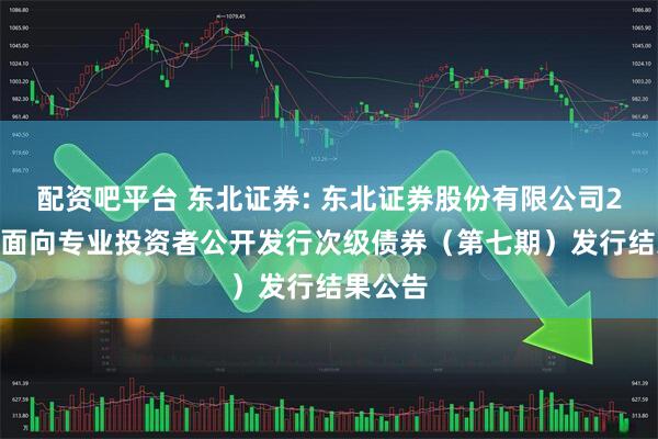 配资吧平台 东北证券: 东北证券股份有限公司2025年面向专业投资者公开发行次级债券（第七期）发行结果公告